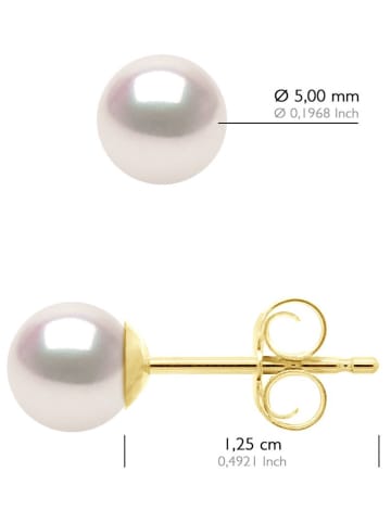 ATELIERS SAINT GERMAIN Gouden oorstekers met Akoyaparels