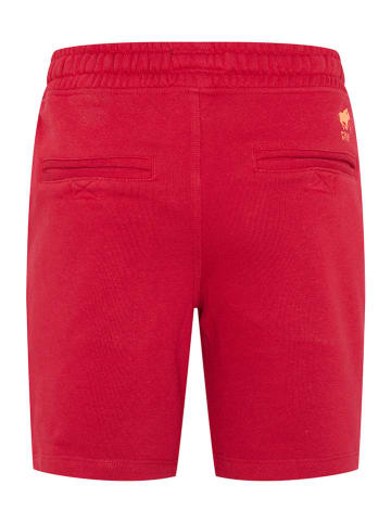 Polo Sylt Szorty dresowe w kolorze czerwonym