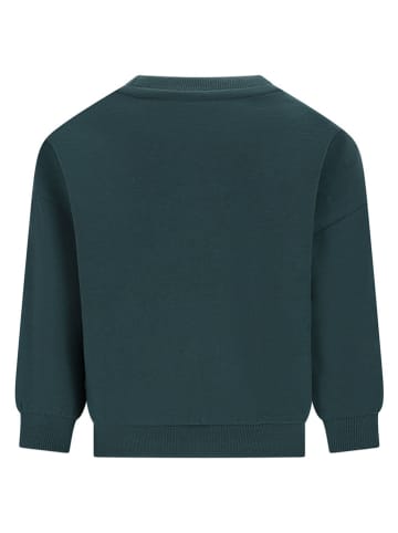 The New Chapter Sweatshirt "Billie" in Grün