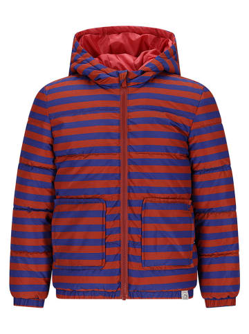 The New Chapter Doorgestikte jas "Mosi" rood/blauw