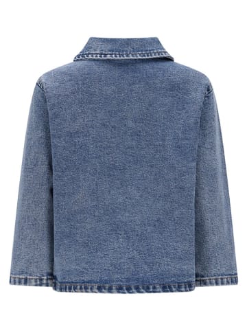 The New Chapter Spijkerjas "Noï" blauw