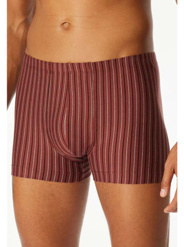 Schiesser 3er-Set: Boxershorts in Rot/ Schwarz