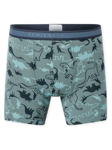 Schiesser 3er-Set: Boxershorts in Türkis