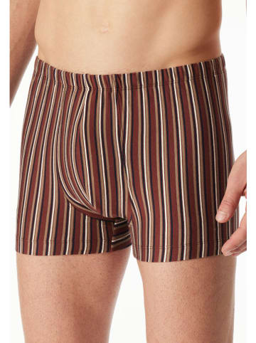 Schiesser Boxershorts in Braun