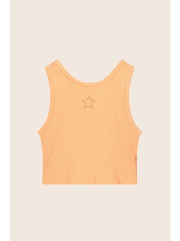 Like Flo Top in Orange