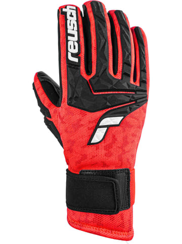 Reusch Rękawiczki funkcyjne "World Cup Warrior Neo" w kolorze czerwono-czarnym