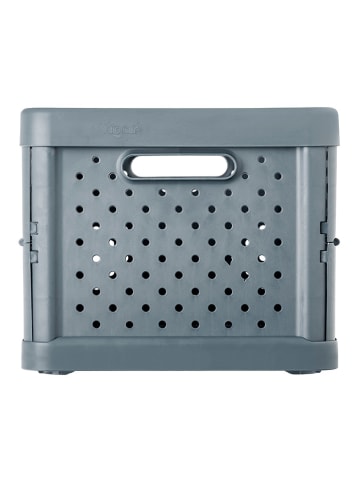 Vigar Opbergkist grijs - 11 l