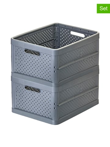 Vigar 2-delige set: opbergkisten grijs - 32 l