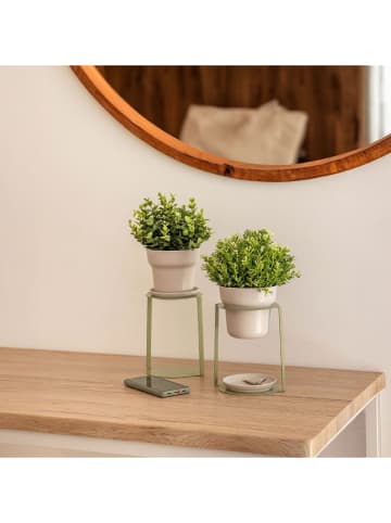 Vigar Regały (2 szt.) w kolorze zielonym na rośliny - 15,5 x 23 x 13,5 cm