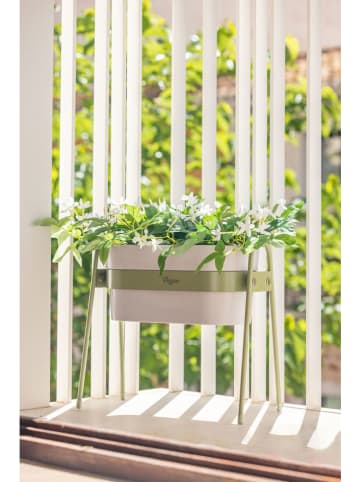 Vigar Regał "Urban garden" w kolorze zielonym na rośliny - 38 x 36 x 19 cm