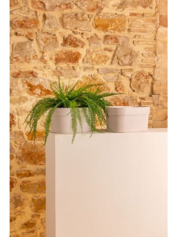 Vigar 2er-Set: Blumentöpfe "Urban garden" in Grau - (B)37 x (H)17 x (T)16 cm 