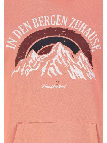 Sublevel Hoodie in Orange