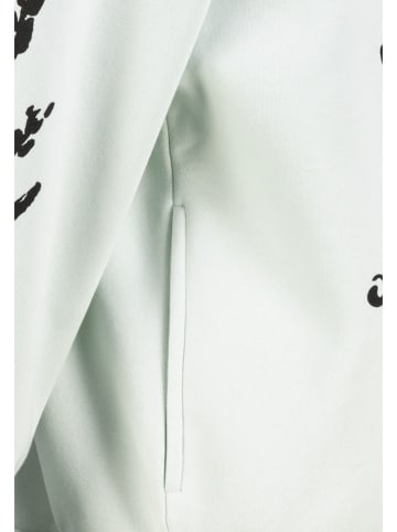 Sublevel Hoodie in Grün