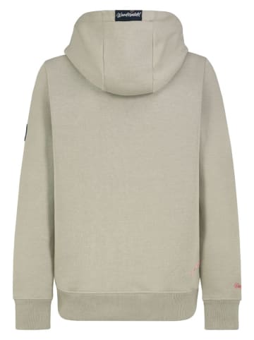Sublevel Hoodie in Grün