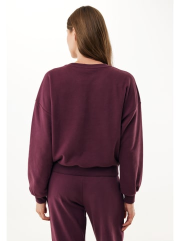 Mexx Sweatshirt paars