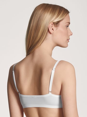 Calida Bustier in Weiß