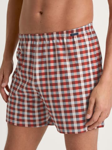 Calida Boxershorts in Rot/ Weiß