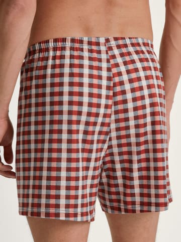 Calida Boxershorts in Rot/ Weiß