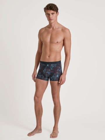Calida Boxershorts in Dunkelblau/ Lila