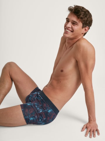 Calida Boxershorts in Dunkelblau/ Lila
