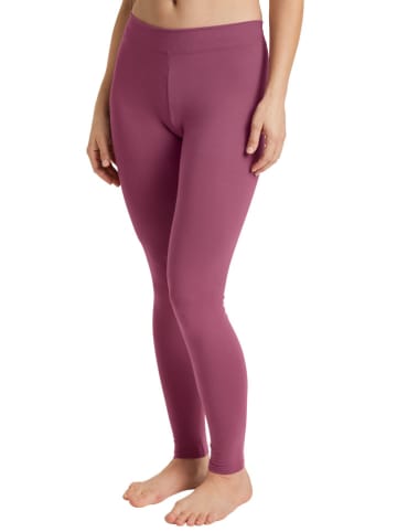 Calida Leggings in Beere