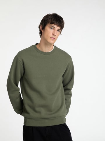 SELECTED HOMME Sweatshirt "Dan" in Khaki