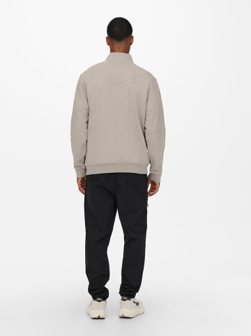 ONLY & SONS Sweatshirt "Ceres" in Beige