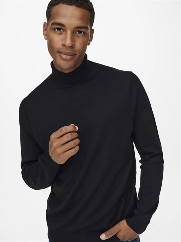 ONLY & SONS Rollkragenpullover in Schwarz