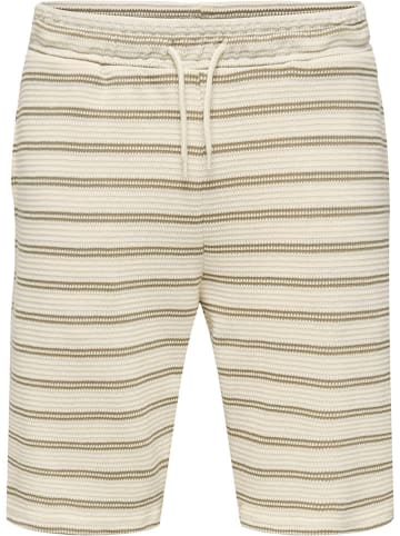 ONLY & SONS Sweatshorts "Ian" in Beige/ Creme