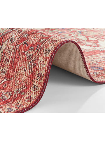 Hanse Home Geweven tapijt "Leta" rood