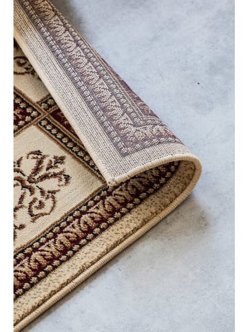 Nouristan Kurzflor-Teppich "Guzara" in Creme/ Braun