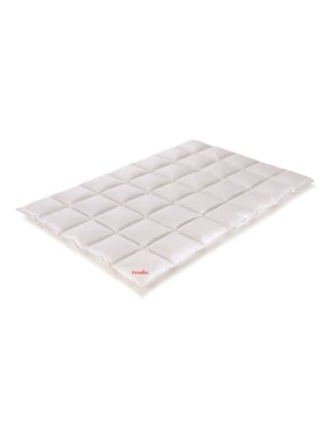 Paradies Ganzjahres-Daunen-Kassettenstegdecke "Carmen" in Weiß