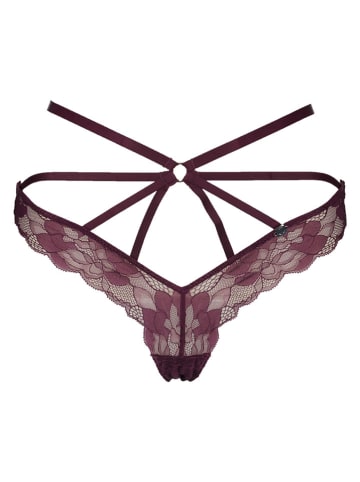 JETTE Slip bordeaux