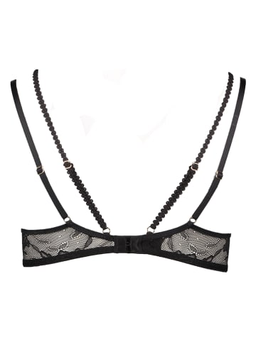 LASCANA Push-up-BH in Schwarz