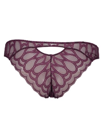 LASCANA Slip in Lila