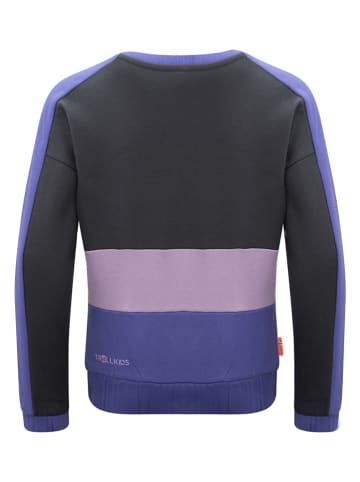 Trollkids Sweatshirt "Verdal" in Lila