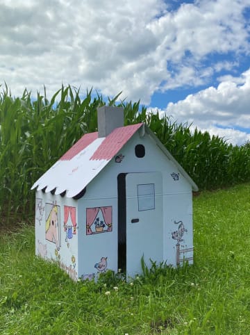 Tanner Domek do zabawy - 3+