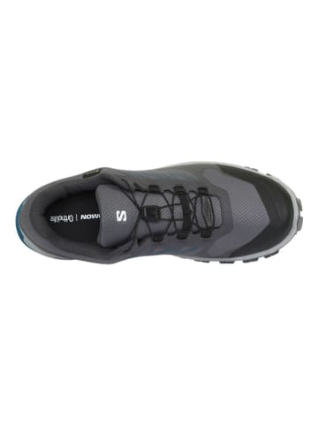 SALOMON Trailrunningschoenen "Xa Flyer GTX" grijs