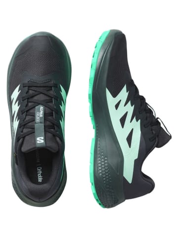 SALOMON Hardloopschoenen "Alphaglide GTX" antraciet