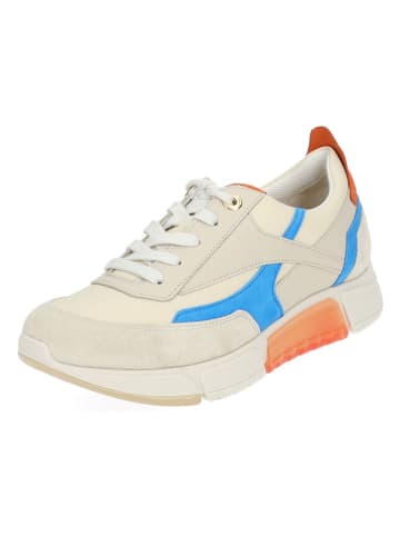 Paul Green Leder-Sneakers in Beige/ Hellblau