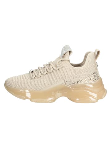 Steve Madden Sneakers in Beige