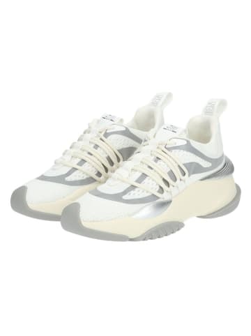 Steve Madden Sneakers wit/zilverkleurig