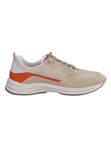 Paul Green Leder-Sneakers in Beige/ Orange