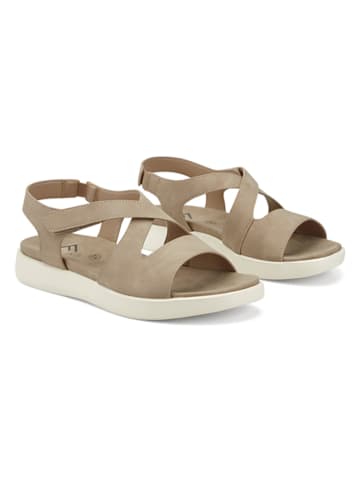 Freyling Sandalen taupe