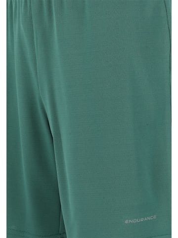 Endurance Trainingsshorts in Grün