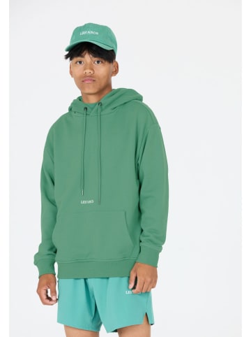 Les'Arcs Hoodie "Roibin" groen