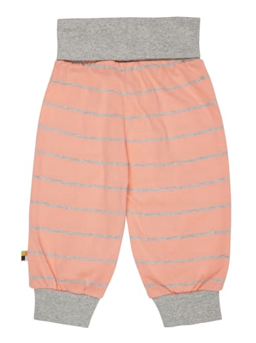 loud + proud Sweathose in Apricot