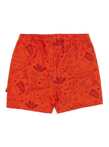loud + proud Shorts in Rot