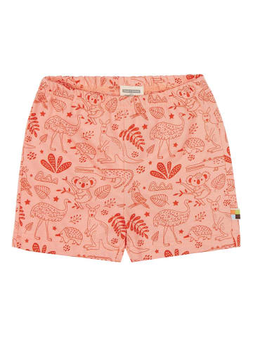 loud + proud Shorts in Apricot