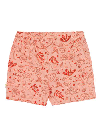 loud + proud Shorts in Apricot